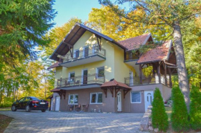 Vila Savinka Zlatibor